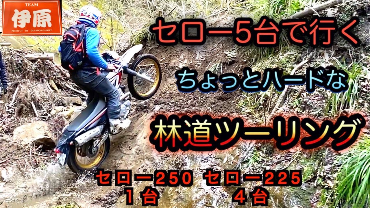 セロー５台で行く、ちょっとハードな林道ツーリング