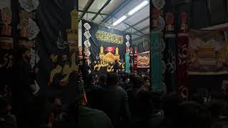Majalis Carpi Modena San Marino Imam Hussain 