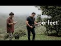 Perfect - Ed Sheeran (eclat ft sound of nature)