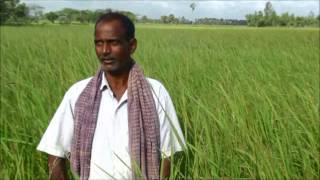 4. Karuppu kavuni - TN Save Our Rice Campaign 2013