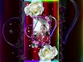 Meri zindagi Hai tu #song #dance