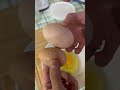 What’s better than one egg? #eggs #chickens