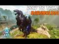 How To Tame a BARSBOLDIA in ARK Survival Ascended
