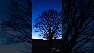 Cielo estrellado