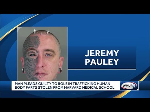 The Joleen MMarie Gambardella Case: What Experts Are Saying Now