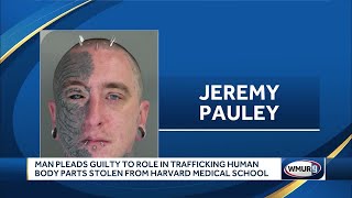 Legal expert: More pleas, bench trials possible due to graphic details in stolen body parts case