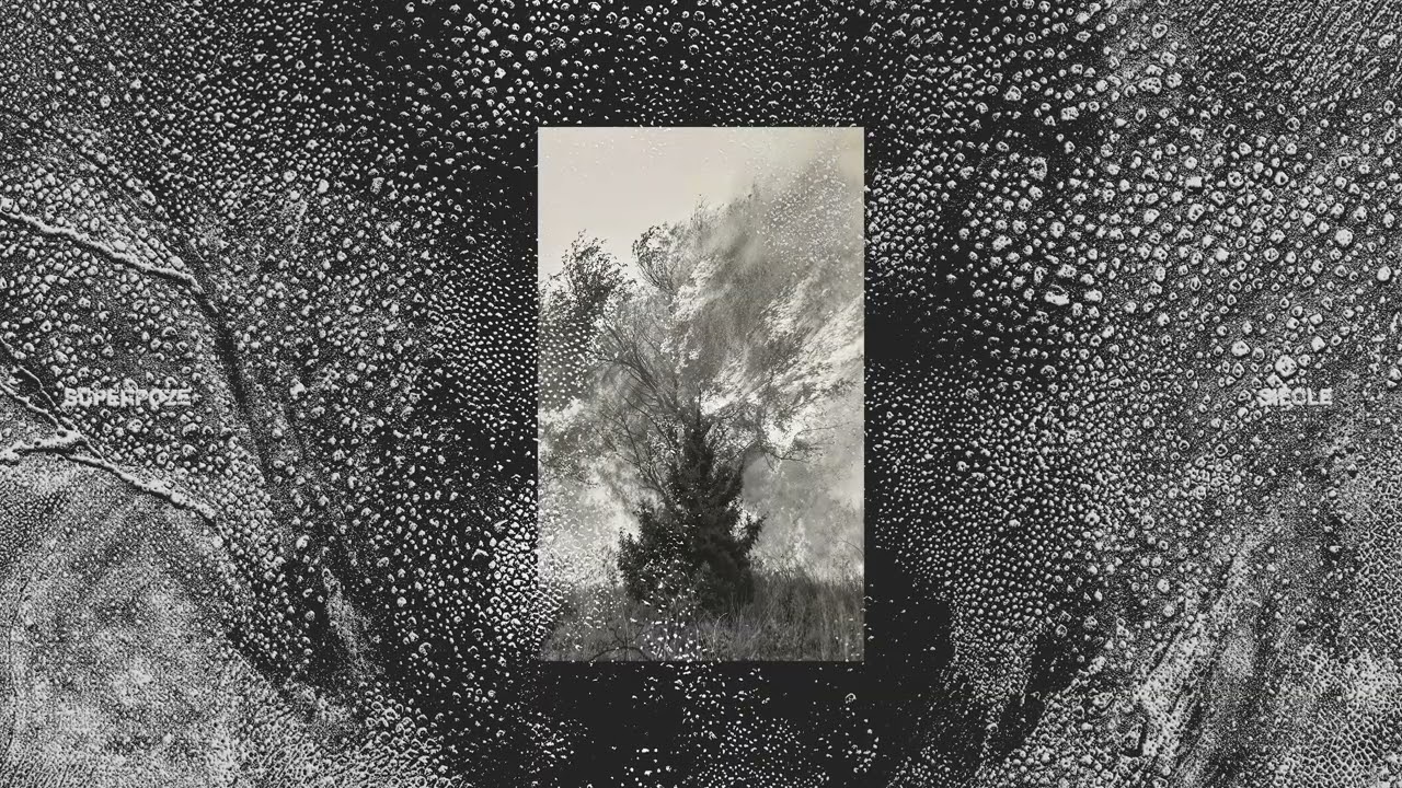 Superpoze - Sternes (Official Audio)