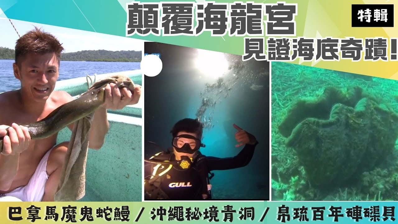 【顛覆海龍宮】變身菲律賓魅力人魚/與鯨鯊共游/沖繩秘境青洞/巨型百年硨磲貝/海中惡霸蛇鰻《世界第一等》特輯S30