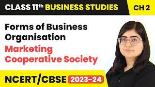 Marketing Cooperative Society - Forms of Business Organisation | Class 11 Business Studies Ch 2 |...