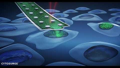 FluidFM BOT BIO Series – Single cell nano-injection into adherent cells