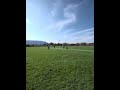 That catch will haunt him #cricket #shorts