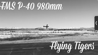 Fms P-40 990mm