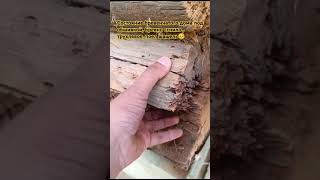 Старый деревянный дом, замена венцов, трухлявого бревна #ремонтдома #заменавенцов #бревнонабрус