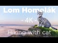 Lom Homolák (Czech Republic) - Hiking with Cat