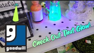 Celebrity Check Out That Glow! - Shop Along With Me - Goodwill Thrift Store Net Worth