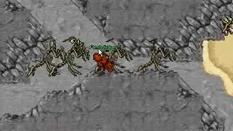 Tibia Guardia - Darama Isle Hunt