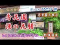 【熱海】しょこたんが泊まった宿に自分も泊まって部屋もプランもマネしてみたら最高だった【客室露天風呂】
