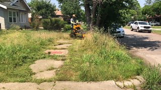 Watch me mow this tall lawn, and major sidewalk transformation