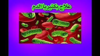علاج بكتيريا الدم على اليوتيوب