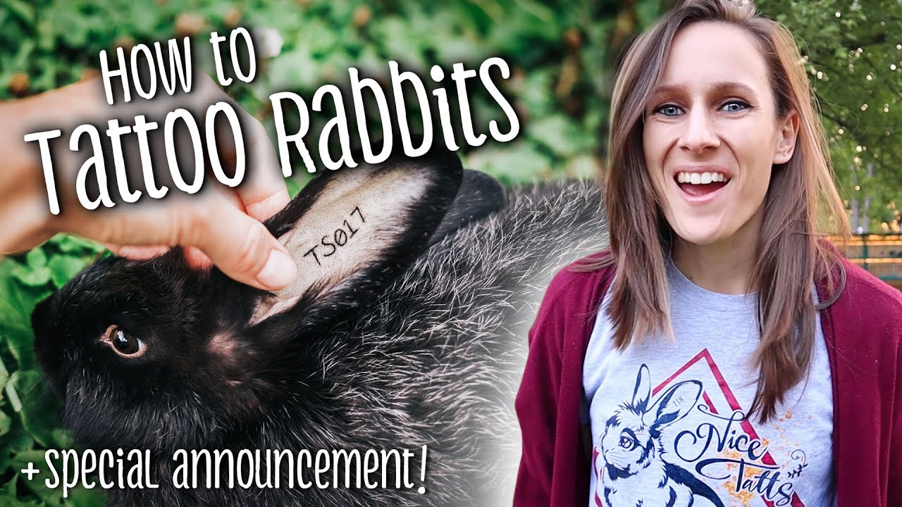 How To Tattoo Rabbits + Special Announcement!