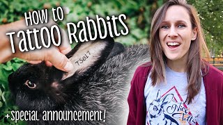 How to Tattoo Rabbits + Special Announcement!