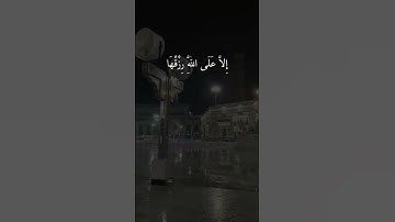 القارئ ابراهيم العسيري وما من دابة في الارض