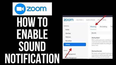 How To Enable Sound Notification on Zoom