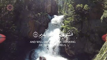 سورة الواقعة تلاوة خاشعة ومؤثرة جدا مريحة للقلب #قرآن_كريم #سورةالواقعة #تلاوة_خاشعة #تلاوة_هادئة