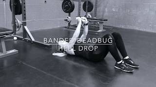 Banded Deadbug Heel Drop