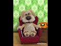 Funny Talking Ben video #6