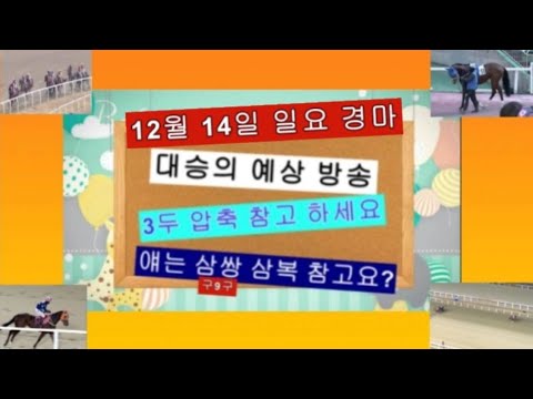 #경+마# 준비된 복+병 서울.부산. 같이한번 보겠습니다