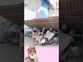 بين السقوط والنباح كوميديا بلا تخطيط 