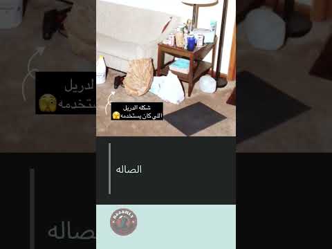 بيت جيفري دامر    