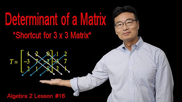 Determinant van een matrix, Algebra 2 Les #16