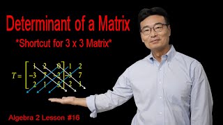 Determinant of a Matrix, Algebra 2 Lesson #16