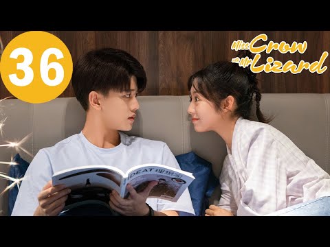 ENG SUB | Miss Crow with Mr. Lizard | EP36 | 乌鸦小姐与蜥蜴先生 | Allen Ren, Xing Fei
