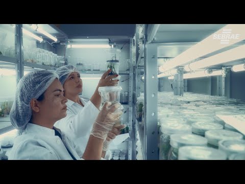 Sebrae O Parceiro Do Seu Negócio - Biotech