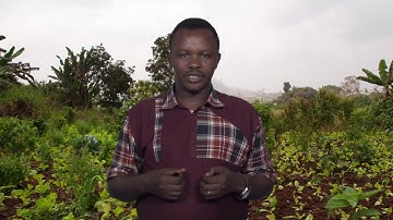 2.3 Resource recovery