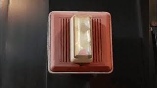 Edwards Integrity Horn Strobe Fire Alarm