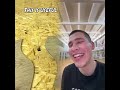 This is so funny, I couldn't stop laughing 😂😂 #funny #doddlersoftiktok #funnyvideos #duet
