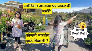 अमेरिकेत आमच्या घराजवळची नर्सरी | रोपांच्या किमती किती | Nursery in America | मराठी vlog