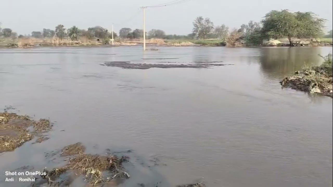 ಮುಳವಾಡ ಏತ ನೀರಾವರಿಯ ಮುಖ್ಯ ಕಾಲುವೆ ಒಡೆದು ಅಪಾರ ನೀರು ರೈತರ ಹೊಲದಲ್ಲಿ ಪೋಲು # ಹಳ್ಳದ ಗೆಣ್ಣೂರ Vijayapur ಕೊಲ್ಹಾರ