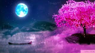 Ahmad Khedr Surah Maryam voice soothing Quran Recitation ' أحمد خضر سورة مريم كاملة