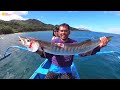 SPEARFISHING | MINDORO PROVINCE, PHILIPPINES | CATCH&COOOK !!