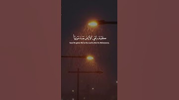 #قرآن #اكسبلور #لايك #تلاوة_خاشعة #ياسر_الدوسري #راحة_نفسية #اللهم_صلي_على_نبينا_محمد #تيك_توك