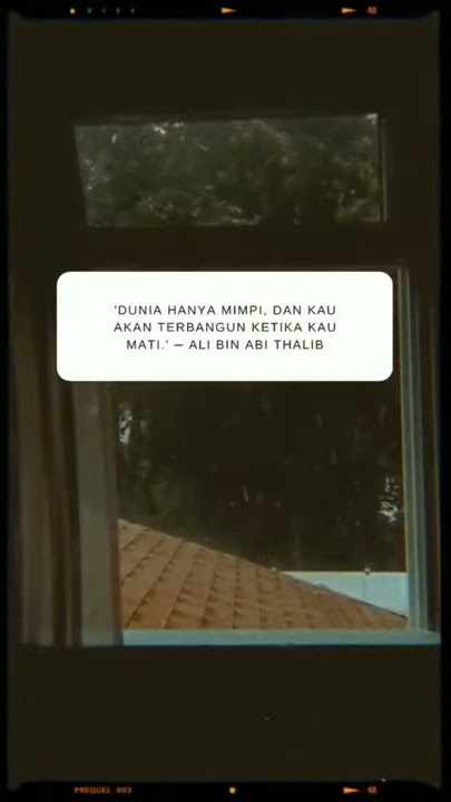 Story Wa Kata Bijak Ali Bin Abi Thalib (Status Wa)