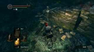 Dark Souls Playthrough - Part 15 - Darkroot Stalkers