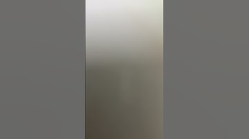 Dạy vẹt nói mẹ ơi