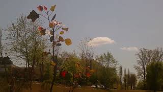 DSCF0101