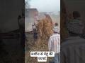 मशीन से गेहूं की छंटाई #vlog #villagelife #youtubeshorts #shortvideo